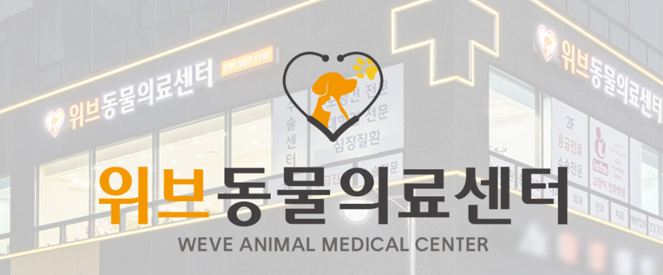 김포 위브동물의료센터 고양이 중성화 수술 후기 및 비용 — 사진 3