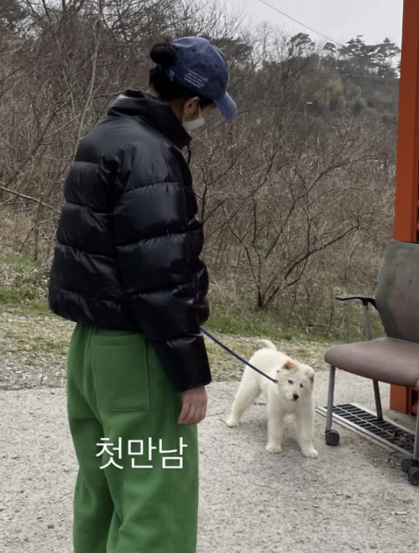 불치병 유기견 입양 김고은 발언 하나로 논란이 커졌다 이미지 1