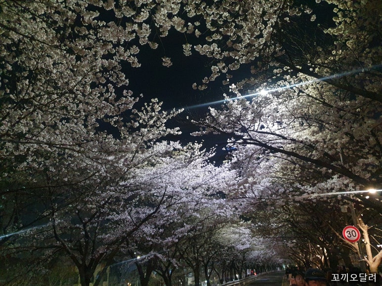 보드람치킨 신도림점 사진 3