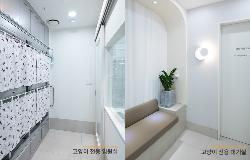 김포 위브동물의료센터 고양이 중성화 수술 후기 및 비용 — 사진 4