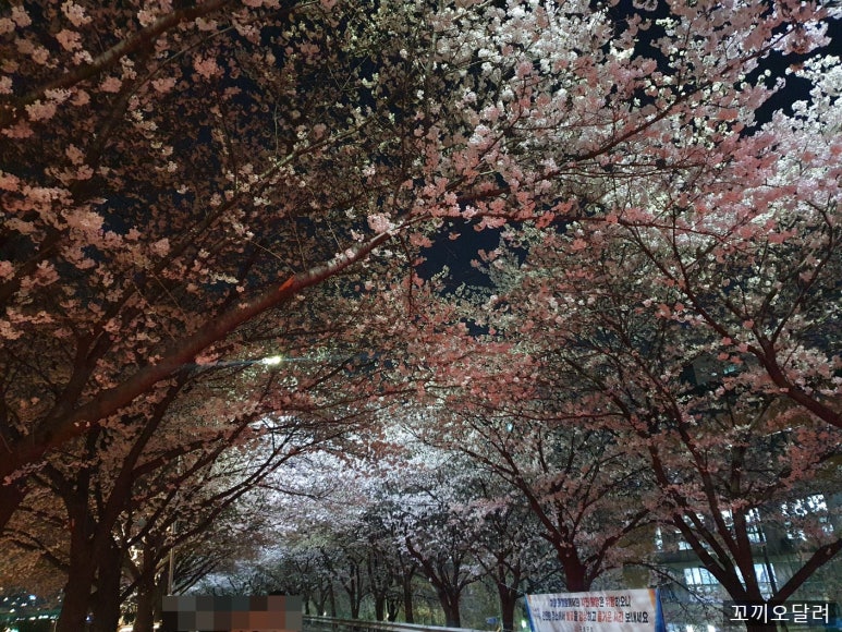 보드람치킨 신도림점 사진 4