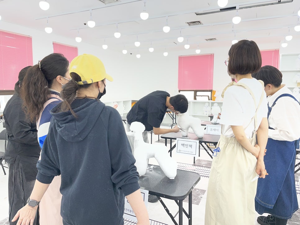 강동 애견미용 자격증, 실무 교육으로 취업까지 준비하기 — 사진 5