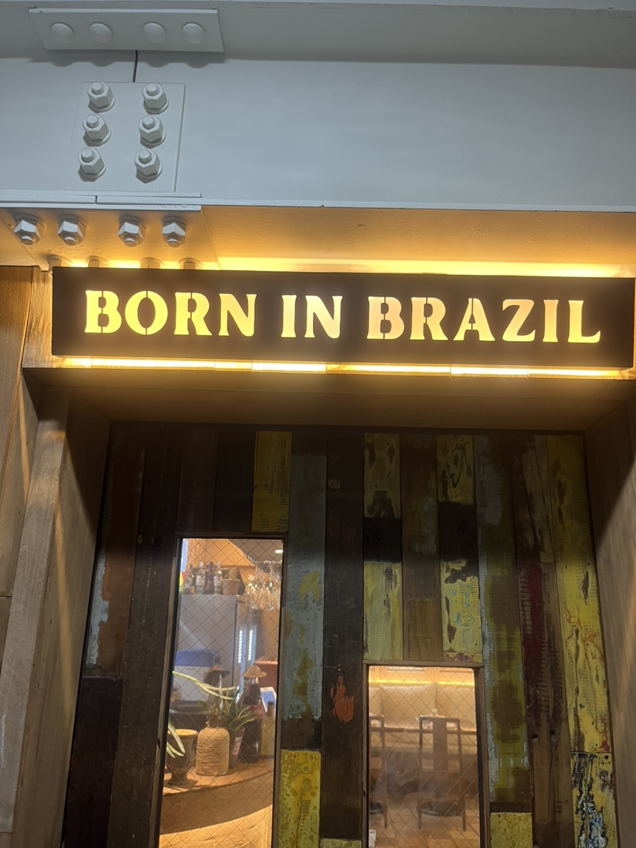 본인브라질 사진 8