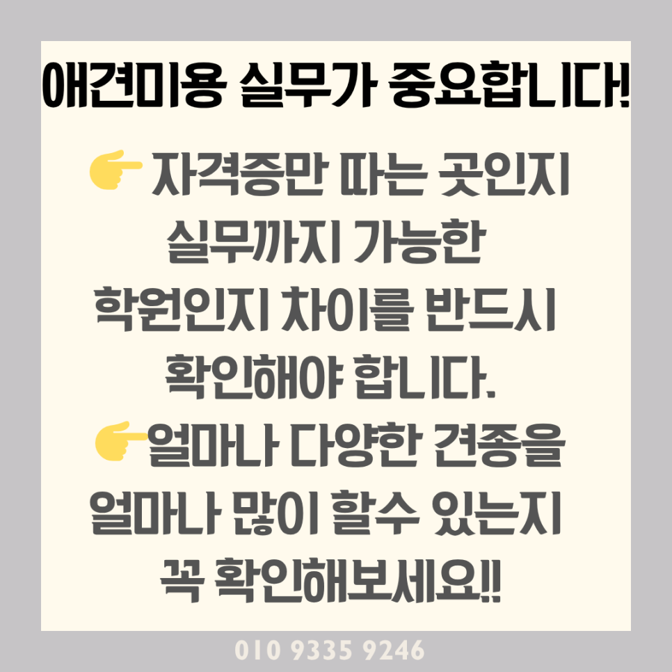 송파 애견미용학원, 실무 중심 커리큘럼 비교