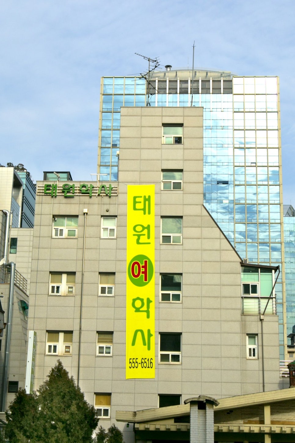 태원양꼬치 사진 4