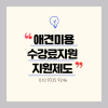 송파 애견미용학원, 실무 중심 커리큘럼 비교 — 사진 7