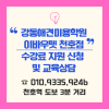 천호애견미용학원: 강동 초보자 자격증·취업·창업 완벽 대비 — 사진 14