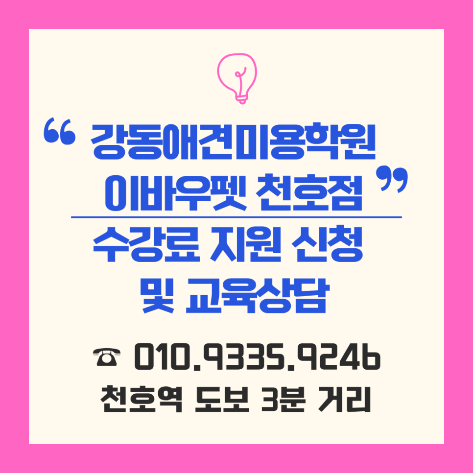 천호애견미용학원: 강동 초보자 자격증·취업·창업 완벽 대비 — 사진 14