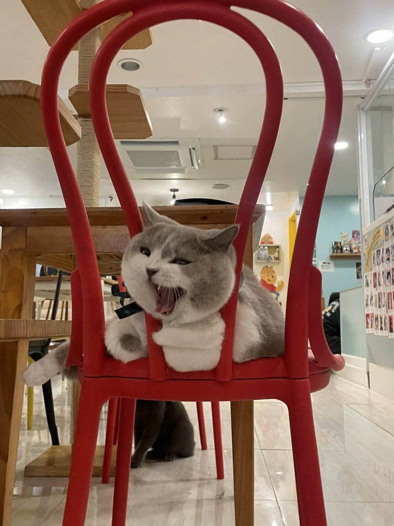 개성집 사진 7