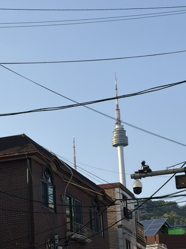 훈육 사진 4