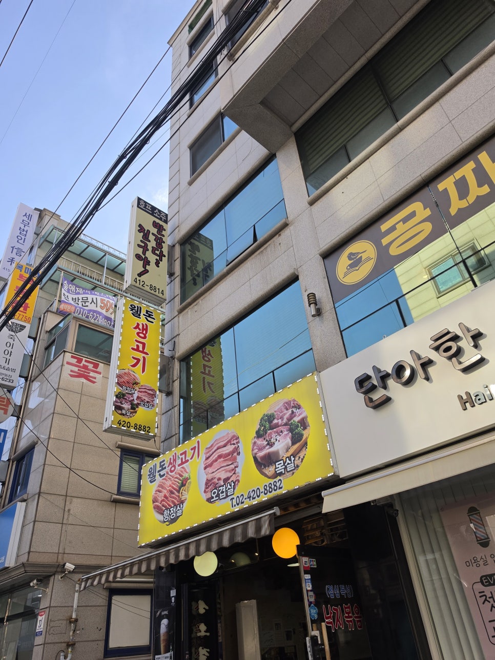 웰돈생고기 사진 3