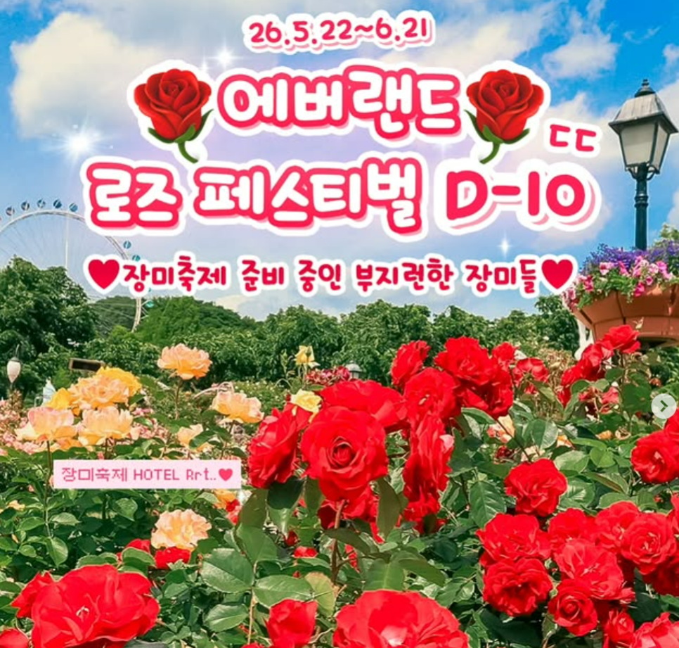 온담 사진 3