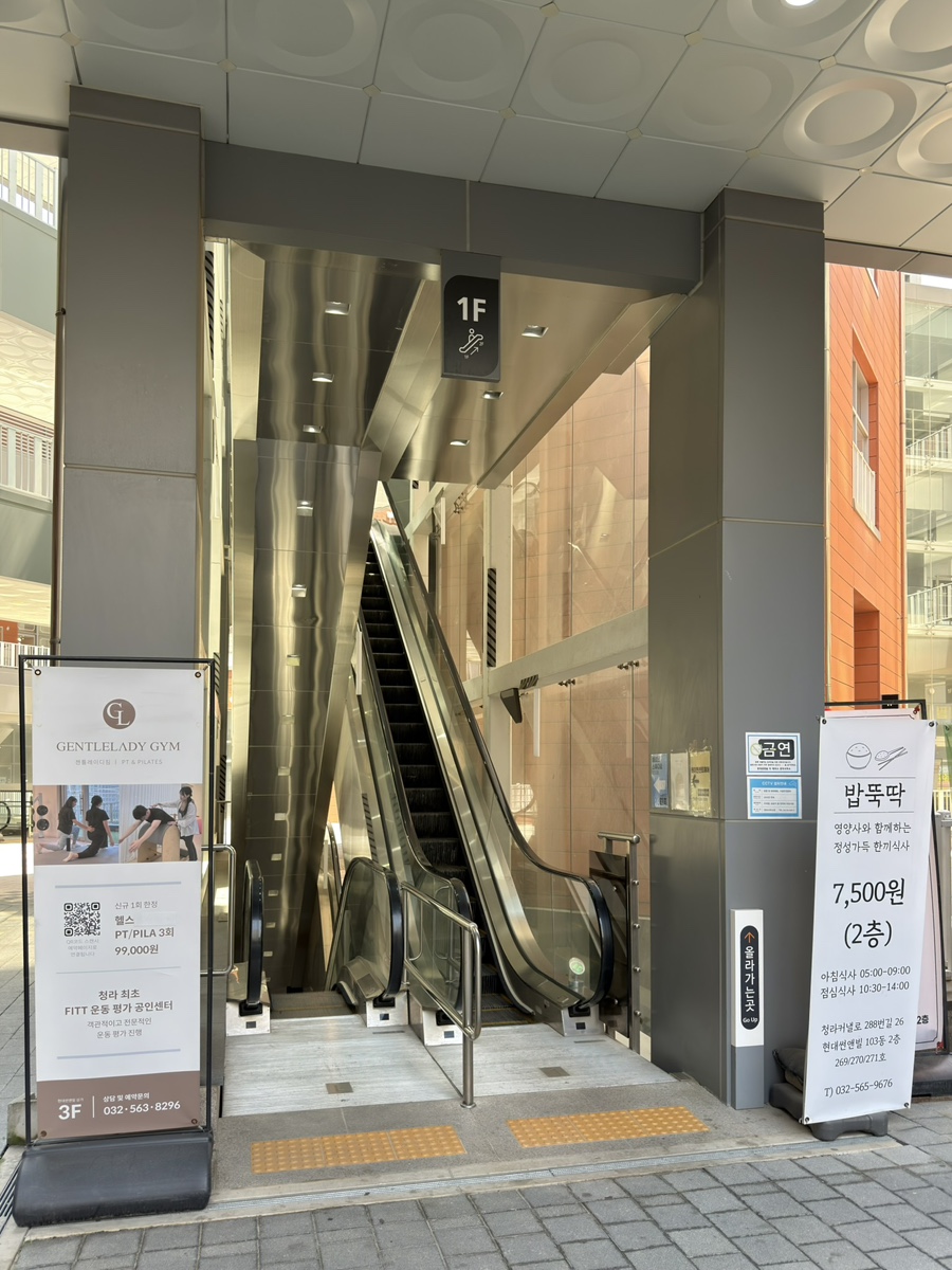 청라 반려동물 증명사진, 매료인 스튜디오에서 인생샷 남기기 — 사진 2