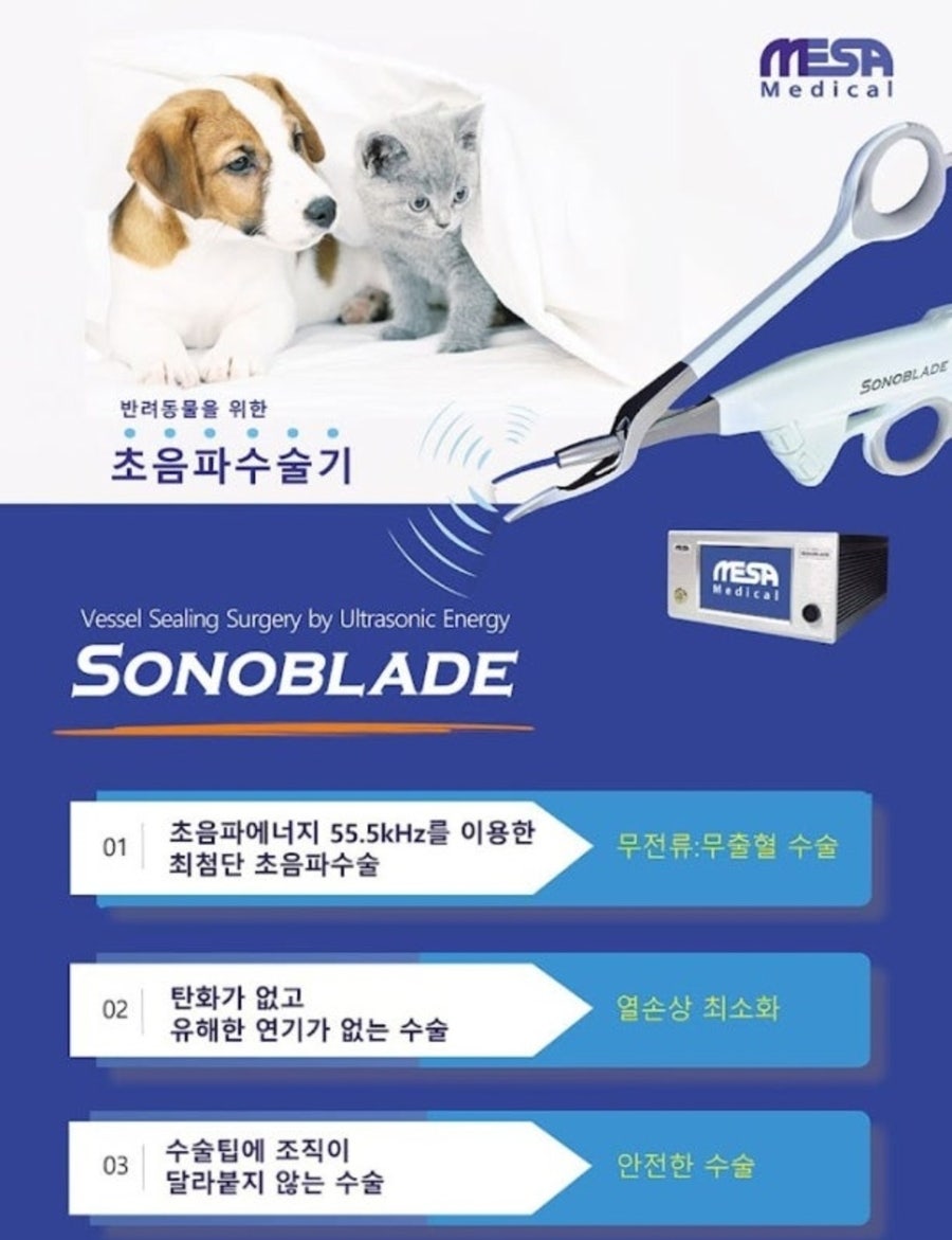 강아지 결석 수술 비용 및 후기: 위례 튼튼동물병원 — 사진 18