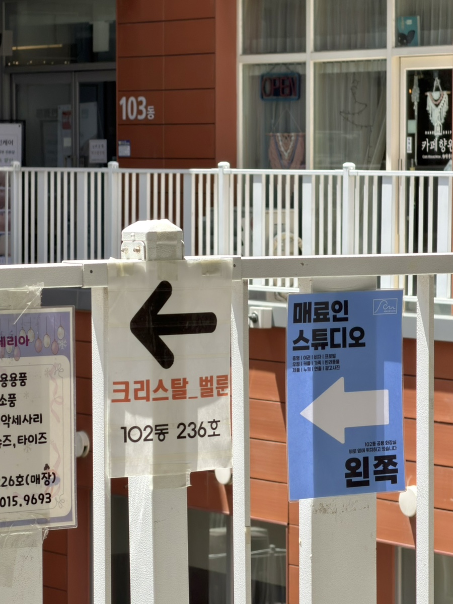 청라 반려동물 증명사진, 매료인 스튜디오에서 인생샷 남기기 — 사진 5