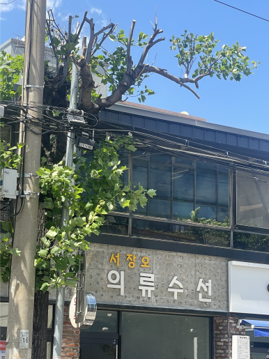 서장오 의류수선전문점 매장 사진