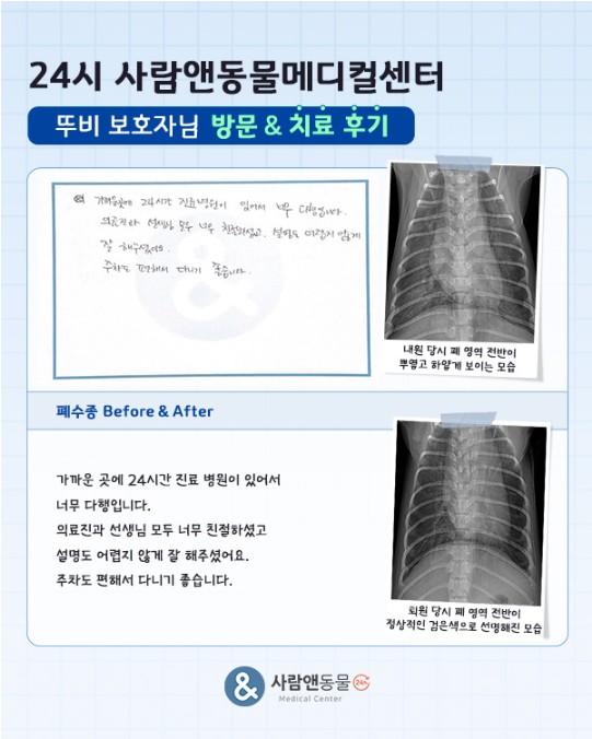 용인2차동물병원 사람앤동물메디컬센터 치료 후기 모음 — 사진 6