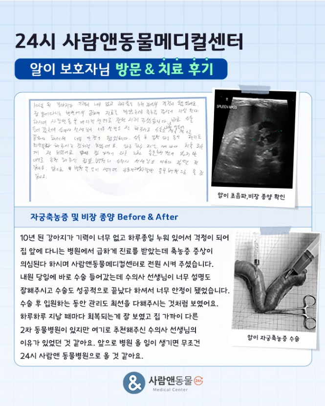 용인2차동물병원 사람앤동물메디컬센터 치료 후기 모음 — 사진 10