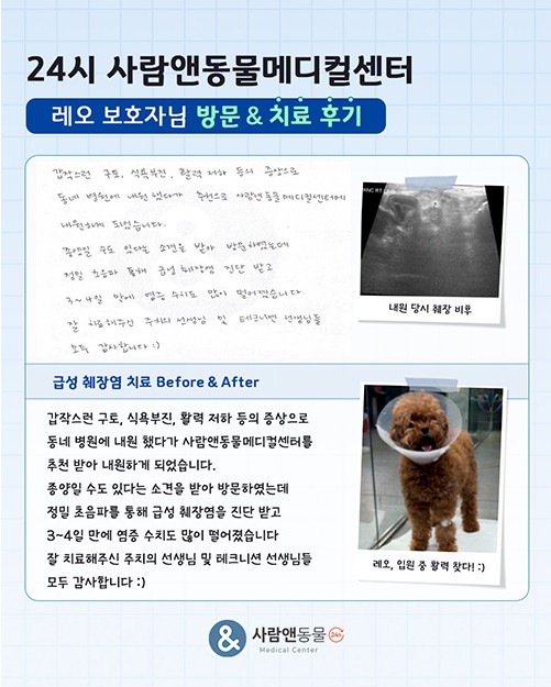 용인2차동물병원 사람앤동물메디컬센터 치료 후기 모음 — 사진 13