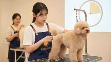 부평 애견미용자격증 취득부터 취업 성공 후기 — 사진 7