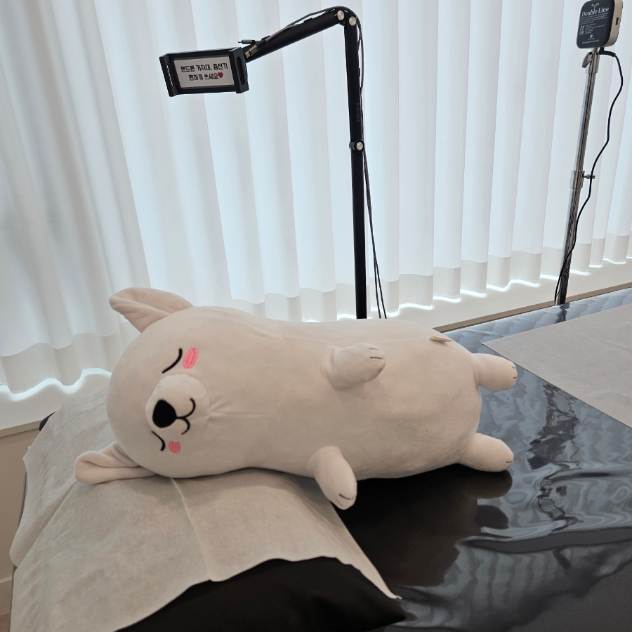 인천 부평 강아지 유치원, 꼼꼼한 사회화 교육 — 사진 9
