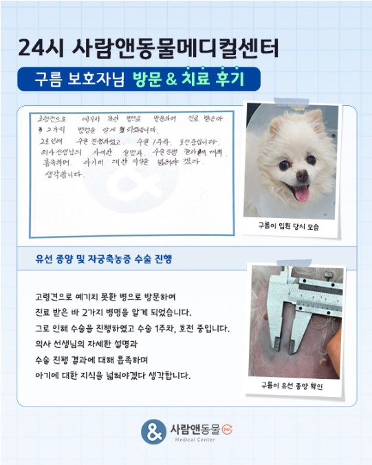 용인2차동물병원 사람앤동물메디컬센터 치료 후기 모음 — 사진 5