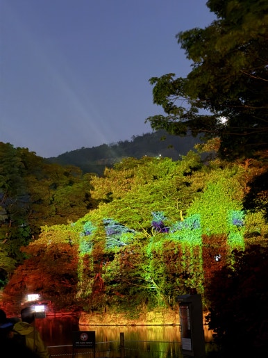 봉추찜닭 동대문굿모닝시티점 사진 8