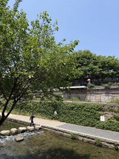 봉추찜닭 동대문굿모닝시티점 사진 5