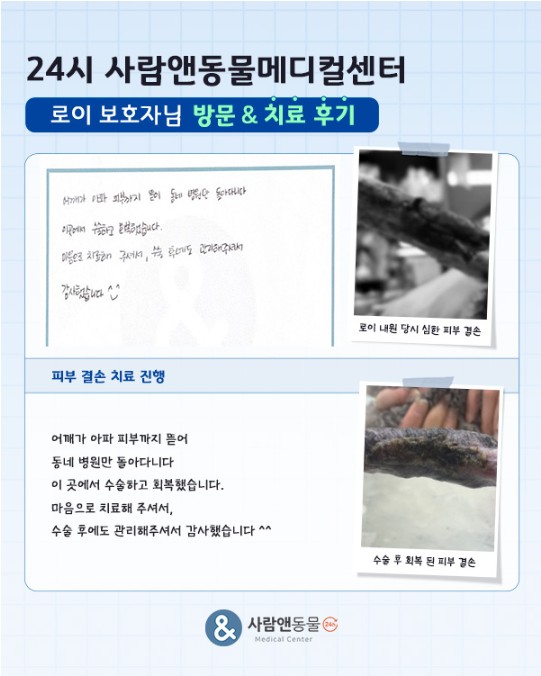 용인2차동물병원 사람앤동물메디컬센터 치료 후기 모음 — 사진 4