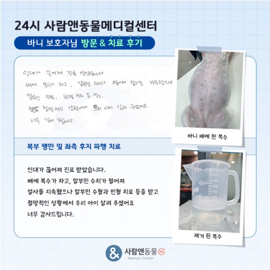 용인2차동물병원 사람앤동물메디컬센터 치료 후기 모음 — 사진 8