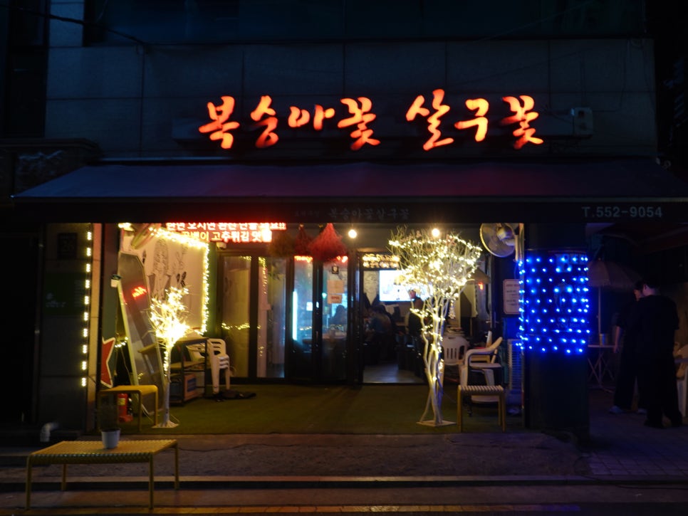 복숭아꽃 살구꽃 사진 2