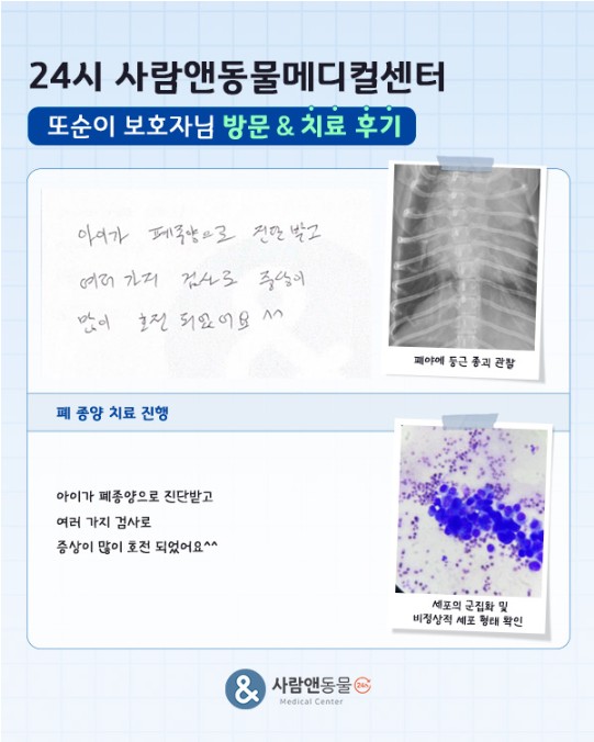 용인2차동물병원 사람앤동물메디컬센터 치료 후기 모음 — 사진 3