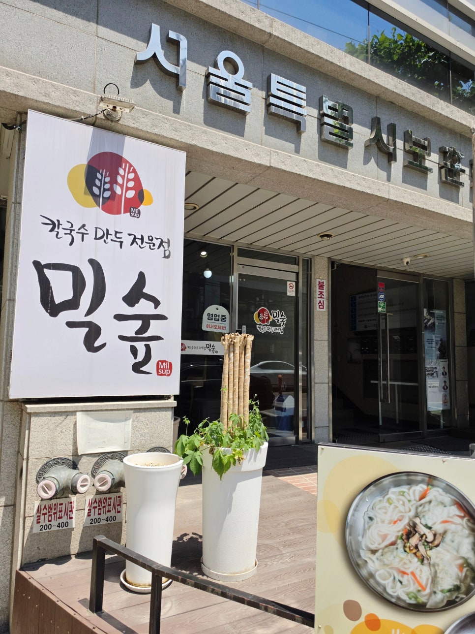 밀숲 사진 5