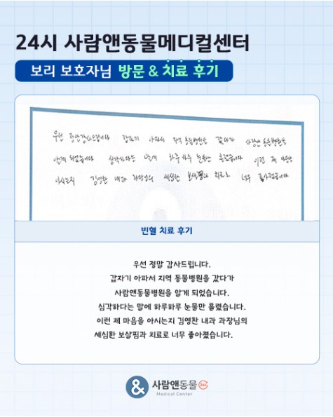용인2차동물병원 사람앤동물메디컬센터 치료 후기 모음 — 사진 9