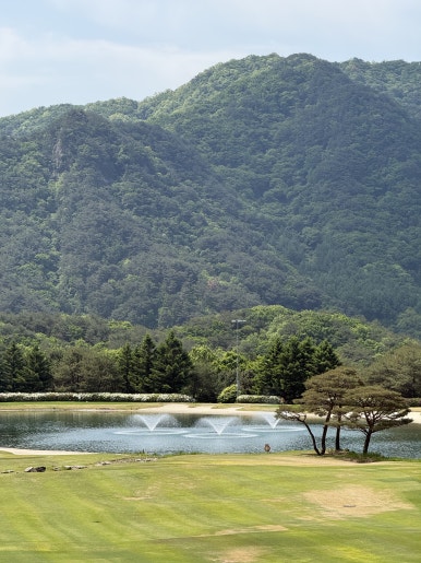 봉추찜닭 동대문굿모닝시티점 사진 6