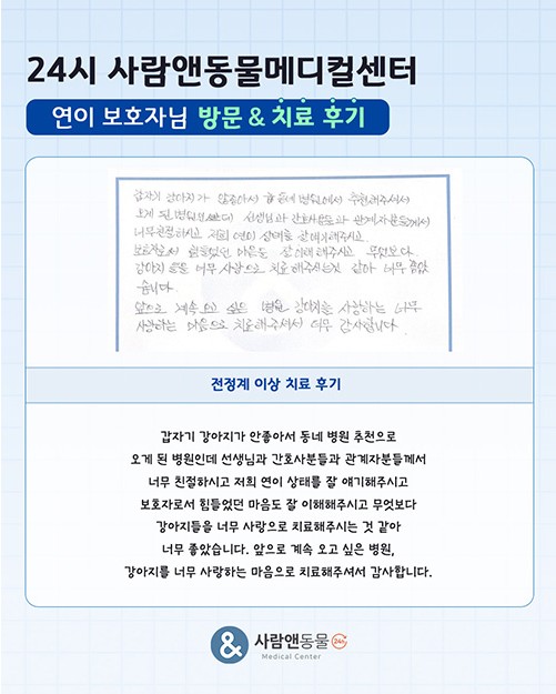 용인2차동물병원 사람앤동물메디컬센터 치료 후기 모음 — 사진 11