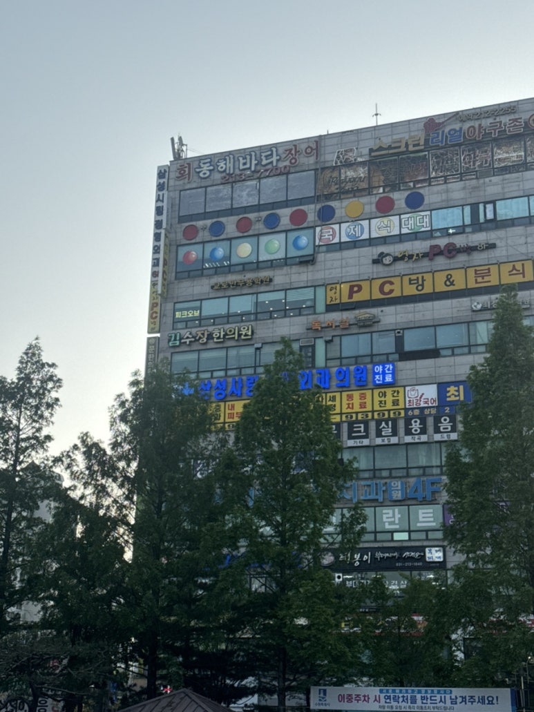 동해바다 사진 8