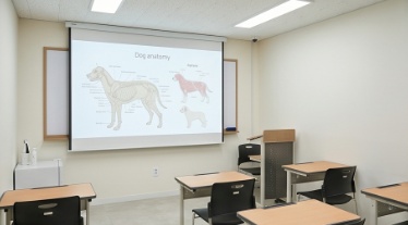 부평 애견미용자격증 취득부터 취업 성공 후기 — 사진 4