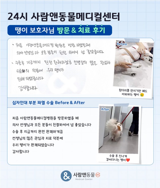 용인2차동물병원 사람앤동물메디컬센터 치료 후기 모음 — 사진 7