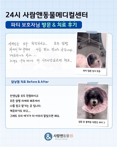 용인2차동물병원 사람앤동물메디컬센터 치료 후기 모음 — 사진 12
