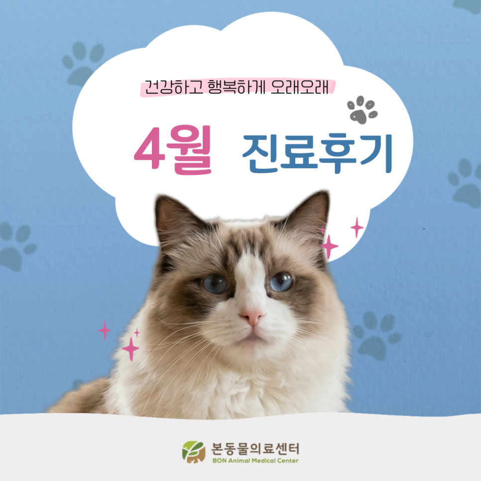 본동물의료센터 4월 진료 후기: 수원 24시 동물병원