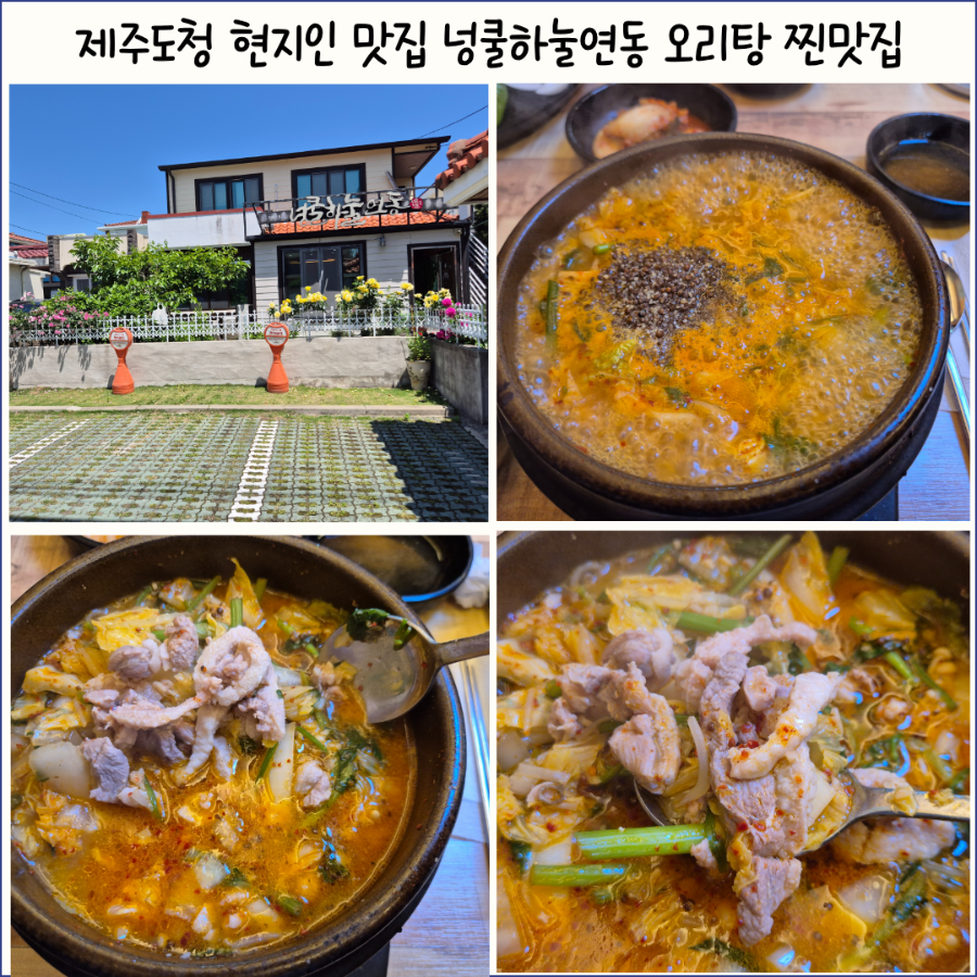 넝쿨하눌연동 사진 8