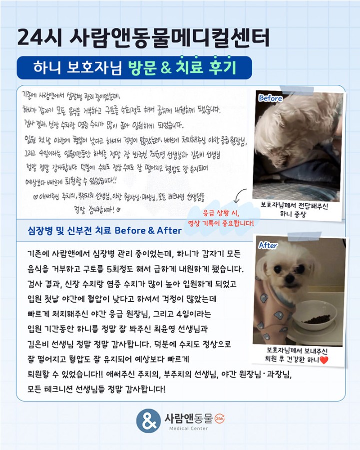 용인2차동물병원 사람앤동물메디컬센터 치료 후기 모음 — 사진 2