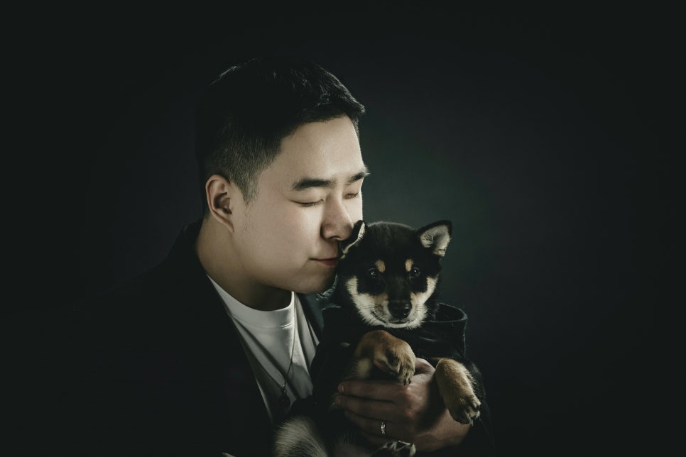 부산 캣독사진관: 시바견·허스키 가족사진 촬영 후기 — 사진 7