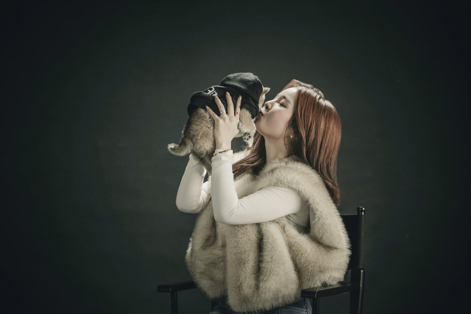 부산 캣독사진관: 시바견·허스키 가족사진 촬영 후기 — 사진 8