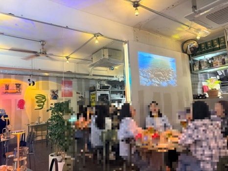 감상 사진 5