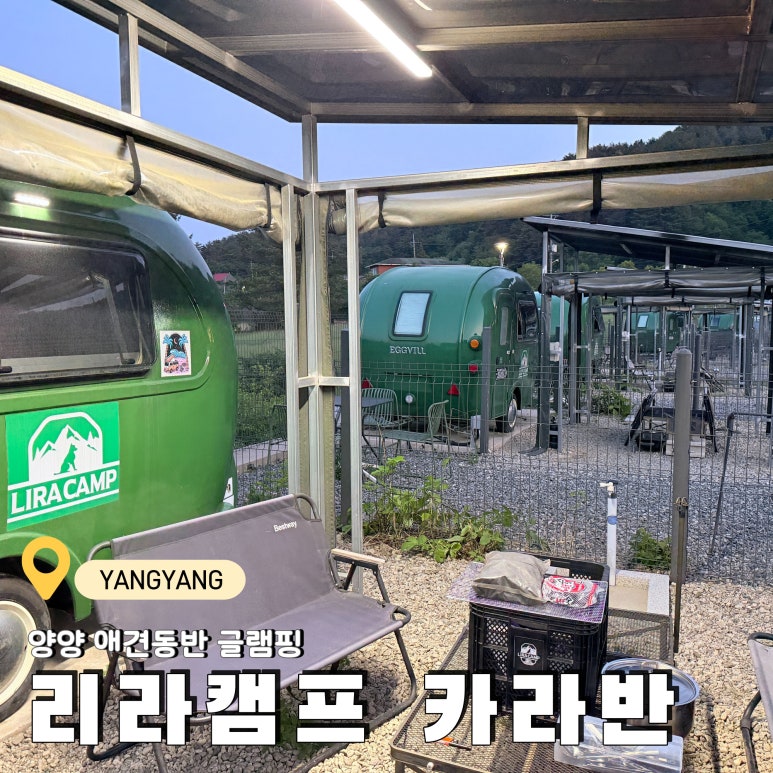 강아지 양양 애견동반 글램핑 리라캠프 카라반 후기