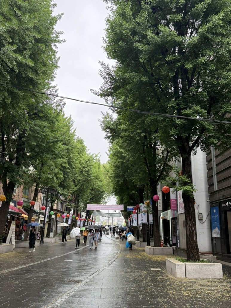 개성만두 궁 사진 8
