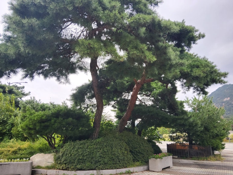 뜰과다원 대표 사진