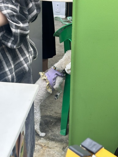 모리노나까 사진 2